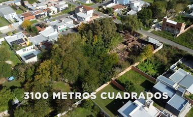 Galpón en  139 entre 39 y 40