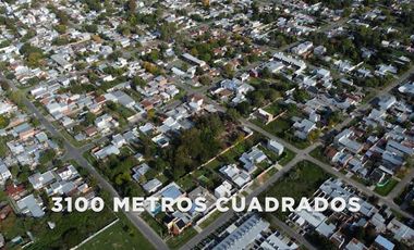 Galpón en  139 entre 39 y 40
