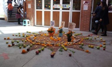 👩‍🏫 Colegio en Funcionamiento con Capacidad para 240 Alumnos – $13,000,000 📈✅