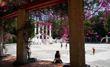 MODERN APARTMENT IN LA CONDESA