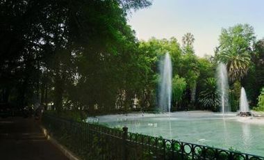 MODERN APARTMENT IN LA CONDESA