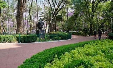 MODERN APARTMENT IN LA CONDESA