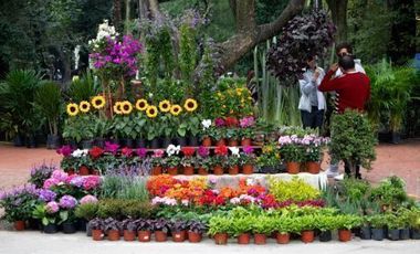 MODERN APARTMENT IN LA CONDESA