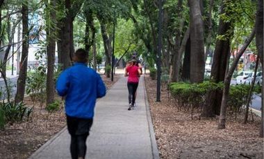 MODERN APARTMENT IN LA CONDESA