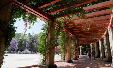 MODERN APARTMENT IN LA CONDESA