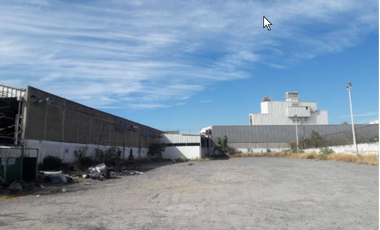 Terreno en renta Gobernador Curiel