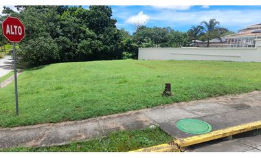 Alquilo Terreno en Albrook