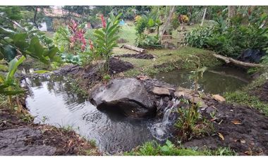 VENTA FINCA TMESIS, SUROESTE ANTIOQUEÑO
