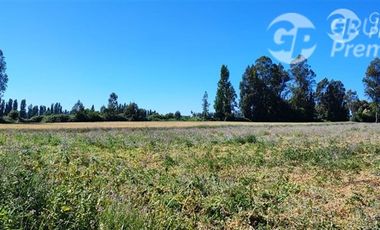 Agrícola en Venta en Ruta 671 San Ignacio Ñuble