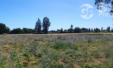 Agrícola en Venta en Ruta 671 San Ignacio Ñuble