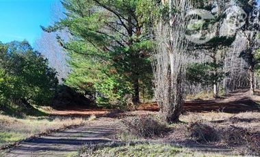 Parcela en Venta en Parcela de 2,49 hectáreas, sector Las Chicharras, Yumbel Estación