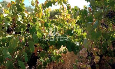 Parcela en Venta en SANTA ROSA DE LAVADEROS