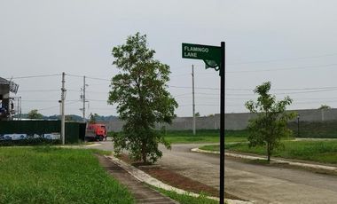 Residential Lot for Sale in Pramana Greenfield, Santa Rosa, Laguna near Nuvali