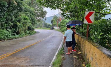 Lot For Sale Palina, Pugo, La Union Marcos Hi-way Baguio SD