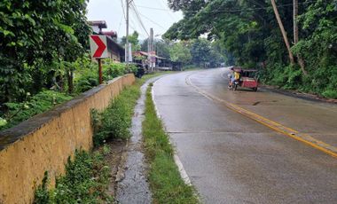 Lot For Sale Palina, Pugo, La Union Marcos Hi-way Baguio SD