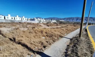 Terreno en renta en Torrecillas y Ramones, Saltillo, Coahuila de Zaragoza