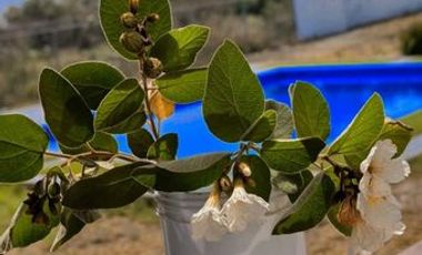 VENTA DE QUINTA EN SANTA ISABEL CADEREYTA