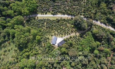 Cómoda y acogedora casa en refugio cordillerano, Fundo La Leona.
