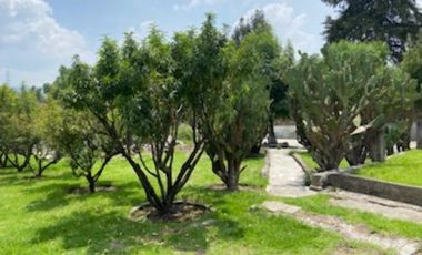 Excelente Terreno en Venta en Tepepan - Para inversionista o como casa con árboles frutales