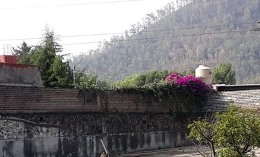 Excelente Terreno en Venta en Tepepan - Para inversionista o como casa con árboles frutales
