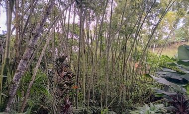 CASA CAMPESTRE LUXURY EN VENTA SAN FRANCISCO