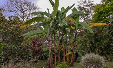 CASA CAMPESTRE LUXURY EN VENTA SAN FRANCISCO