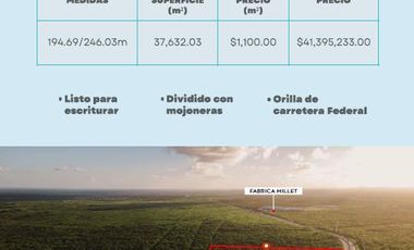 Venta Macro Terreno Para Desarrollo Sobre Carr Merida Motul