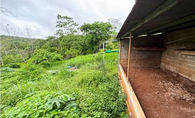 Venta de finca en La Chorrera vía nuevo emperador.