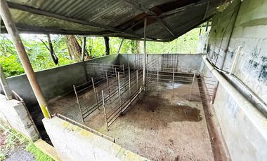 Venta de finca en La Chorrera vía nuevo emperador.