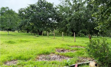 Venta de finca en La Chorrera vía nuevo emperador.