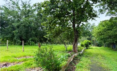 Venta de finca en La Chorrera vía nuevo emperador.