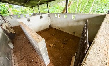 Venta de finca en La Chorrera vía nuevo emperador.