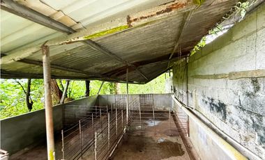 Venta de finca en La Chorrera vía nuevo emperador.