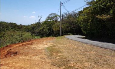 REBAJADO VENDO TERRENO CERRO AZUL 200  Ha