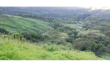 REBAJADO VENDO TERRENO CERRO AZUL 200  Ha