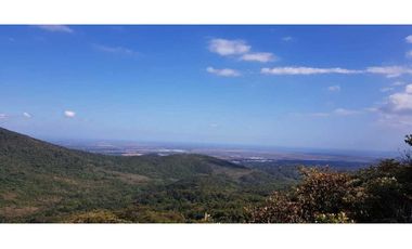 REBAJADO VENDO TERRENO CERRO AZUL 200  Ha