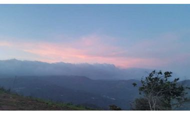 REBAJADO VENDO TERRENO CERRO AZUL 200  Ha
