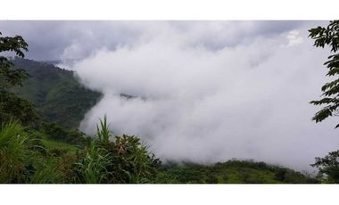 REBAJADO VENDO TERRENO CERRO AZUL 200  Ha