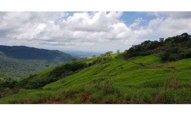 REBAJADO VENDO TERRENO CERRO AZUL 200  Ha