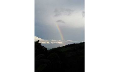 REBAJADO VENDO TERRENO CERRO AZUL 200  Ha