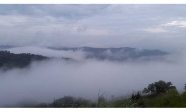 REBAJADO VENDO TERRENO CERRO AZUL 200  Ha