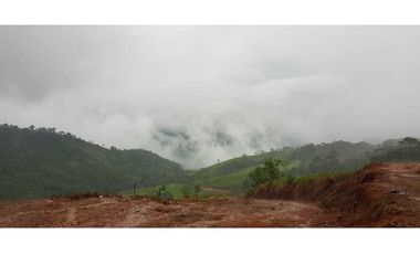 REBAJADO VENDO TERRENO CERRO AZUL 200  Ha