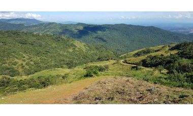 REBAJADO VENDO TERRENO CERRO AZUL 200  Ha