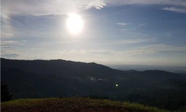 REBAJADO VENDO TERRENO CERRO AZUL 200  Ha