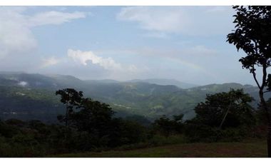 REBAJADO VENDO TERRENO CERRO AZUL 200  Ha