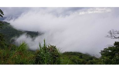 REBAJADO VENDO TERRENO CERRO AZUL 200  Ha