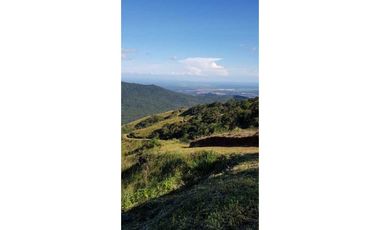 REBAJADO VENDO TERRENO CERRO AZUL 200  Ha