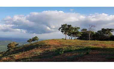 REBAJADO VENDO TERRENO CERRO AZUL 200  Ha