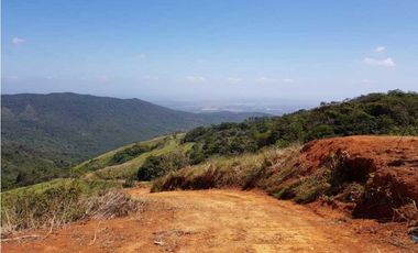 REBAJADO VENDO TERRENO CERRO AZUL 200  Ha