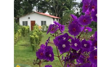 VENDO ESPECTACULAR FINCA AGROTURISTICA EN PANAMA OESTE